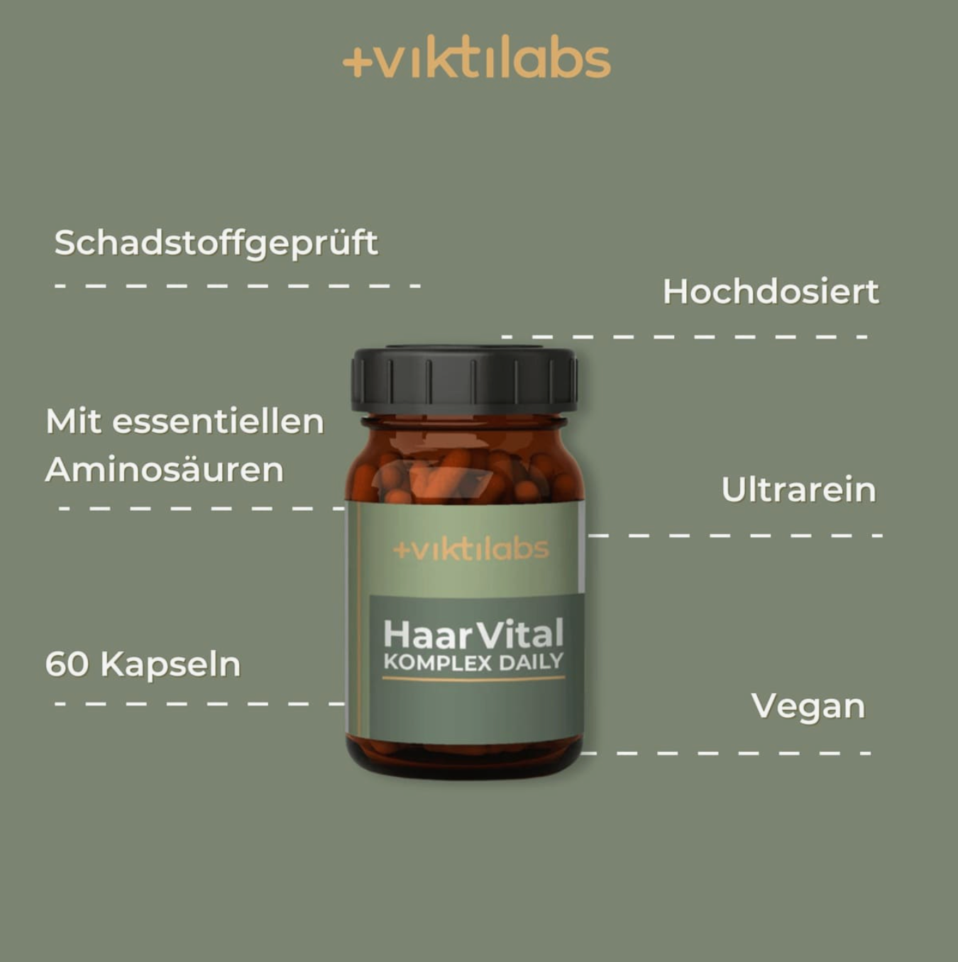 Viktilabs