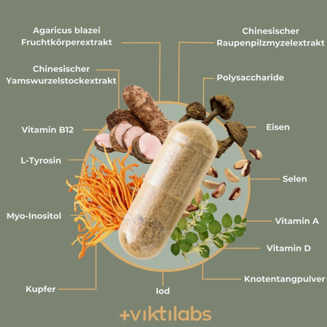 Viktilabs