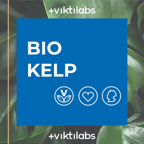 Angebot für Bio Kelp – der Jodlieferant aus dem Ozean - 180 Presslinge