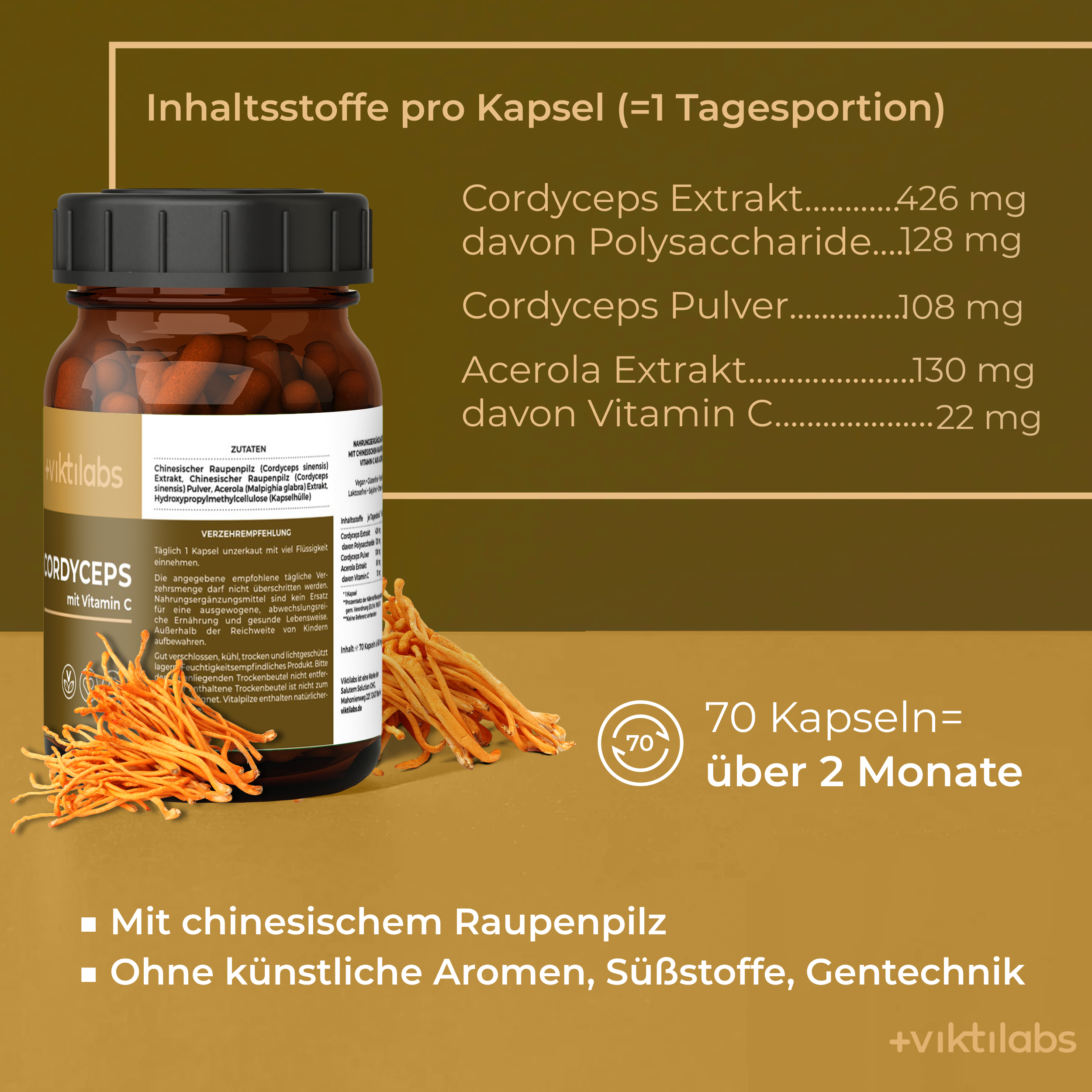 Viktilabs