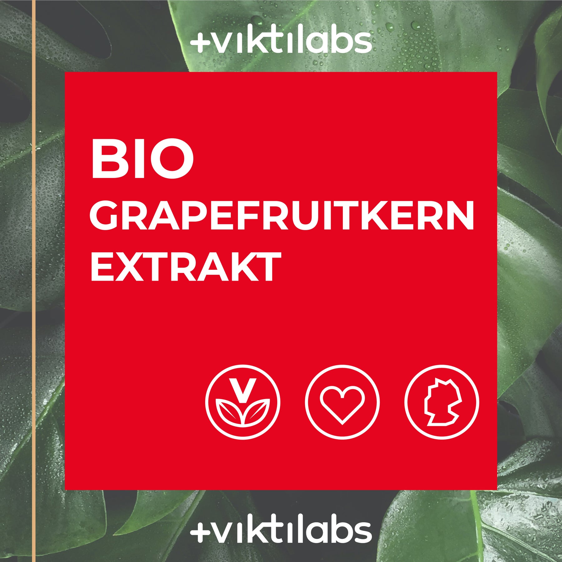 Bio Grapefruitextrakt mit natürlichen Bioflavonoiden - 100ml