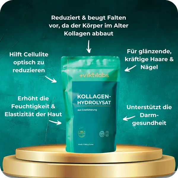 Viktilabs