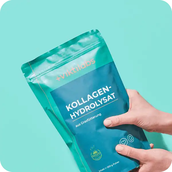 Viktilabs