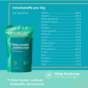 Gut Health Package: Collagen, Lion's Mane