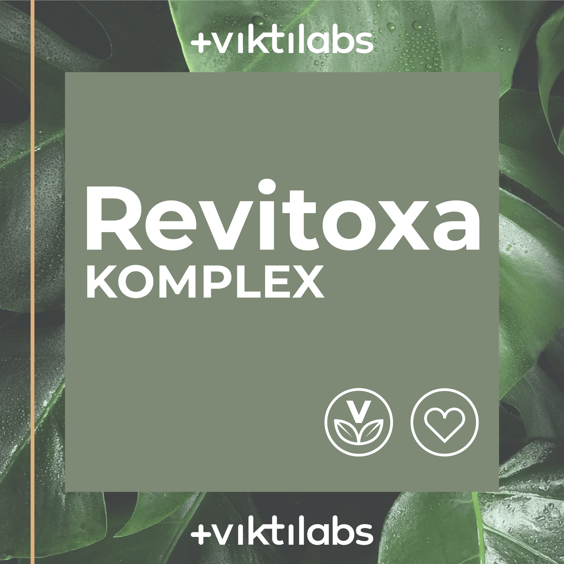 Revitoxa Komplex - Natürliche Vitalität und Schutz mit Schwarzkümmel, Quercetin und mehr - 120 Kapseln
