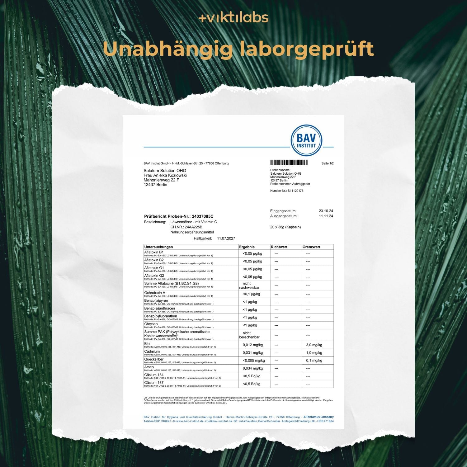 Laboruntersuchung Bericht Löwenmähne [lang-de]
