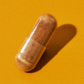Premium Reishi: Vitalpilz mit 100% natürlichem Vitamin C