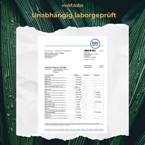 [lang-de]