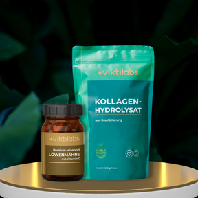 Gut Health Package: Collagen, Lion's Mane