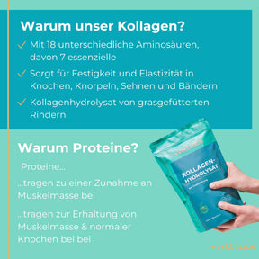 [lang-de]