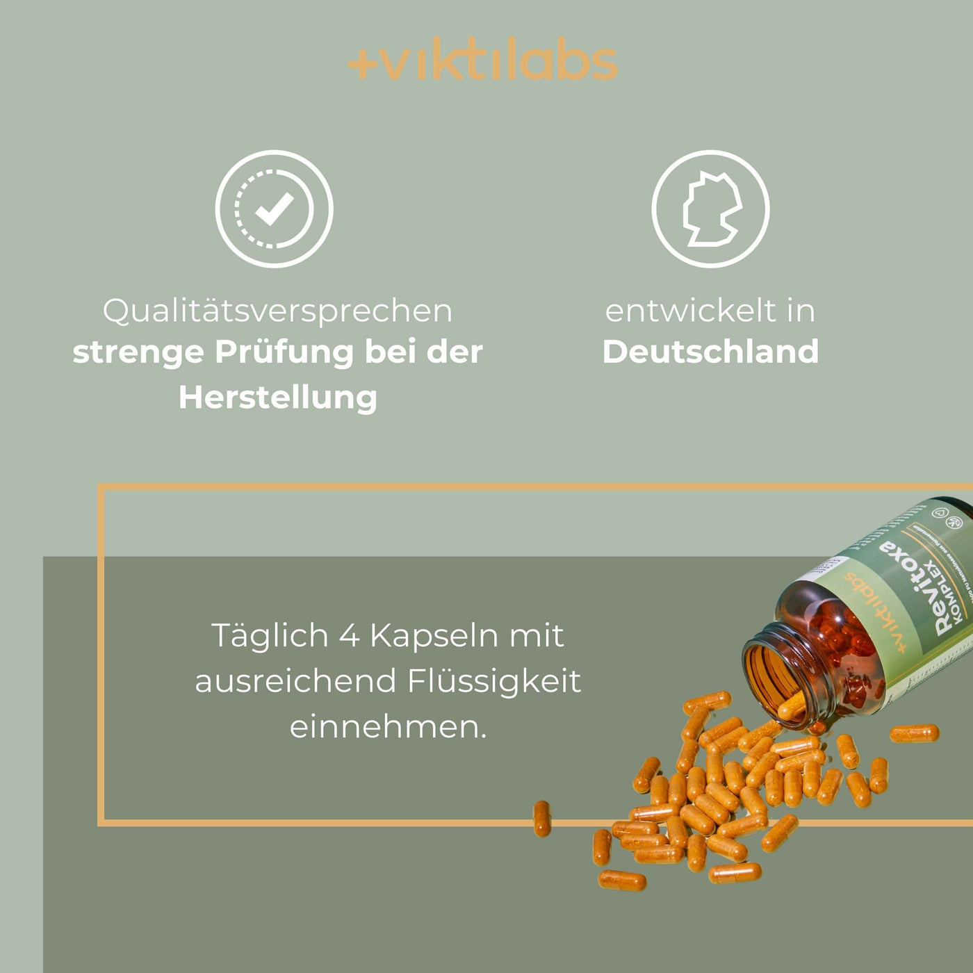 Revitoxa Komplex: Natürliche Vitalität und Schutz