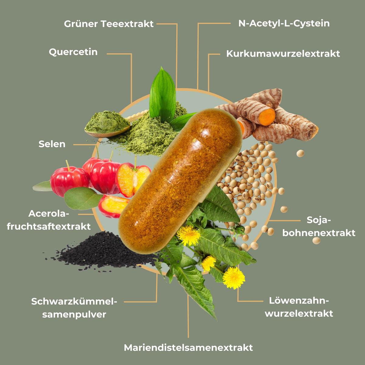 Parazax Complex Kapseln Preis, Zutaten, Erfahrungen & Test