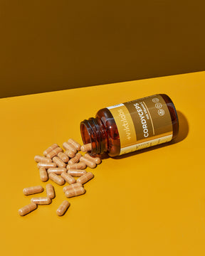 Premium Cordyceps Vitalpilz - 70 Kapseln mit Vitamin C