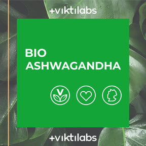 Bio Ashwagandha - reich an Withanoliden - 90 Kapseln