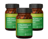 Inforeihe für Chlorella vulgaris - Indoor Farming (300 Presslinge)- bis zu 30 % sparen