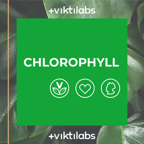 Chlorophyll Tropfen - 1 Flasche mit 100 ml