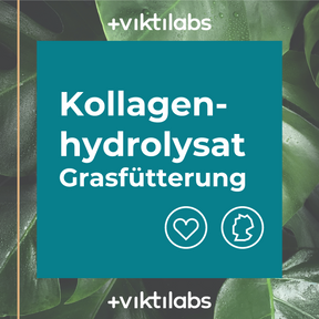 6 Packungen Kollagen aus Grasfütterung á 500g