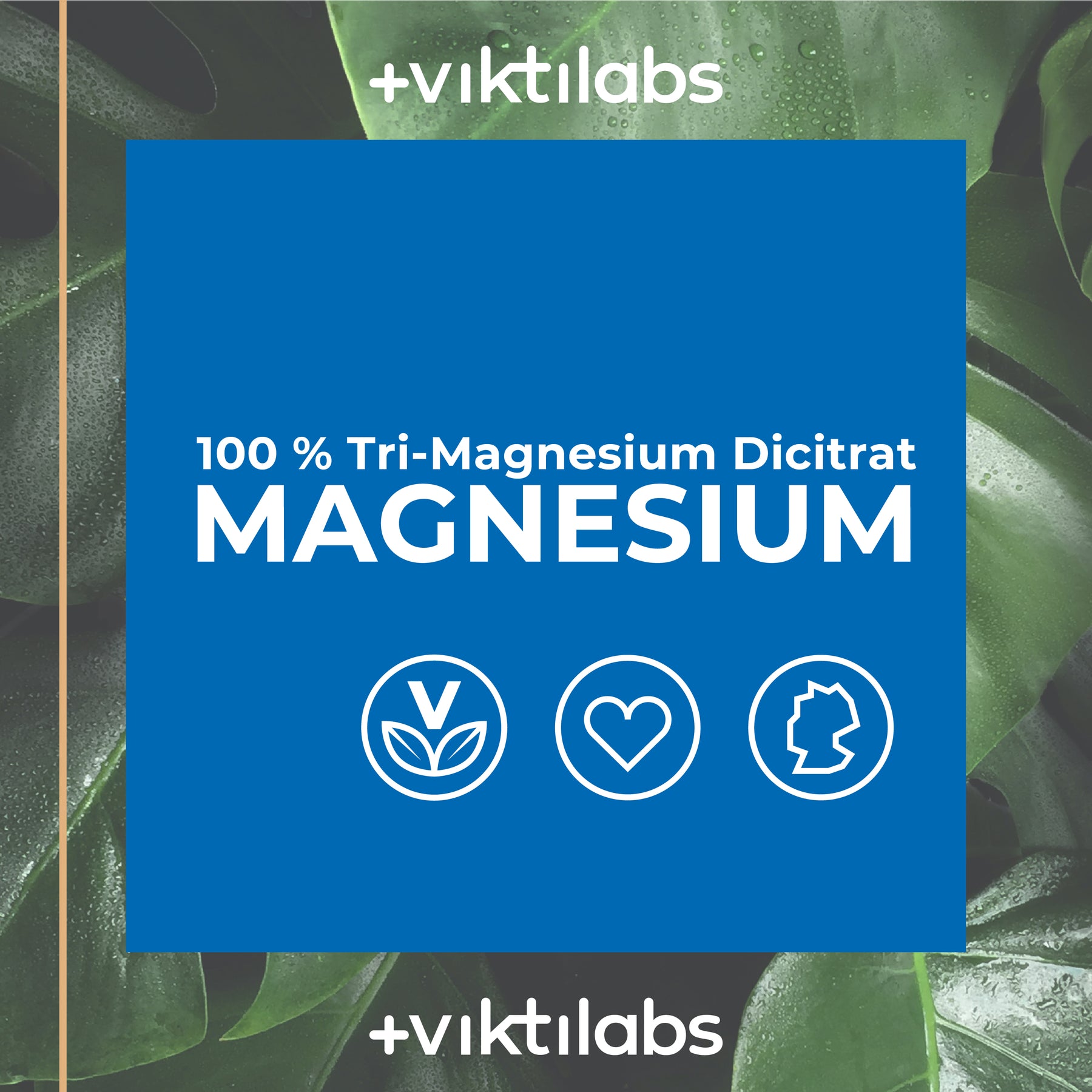 Magnesium – Hochwertiges Tri-Magnesium Dicitrat - 120 Kapseln