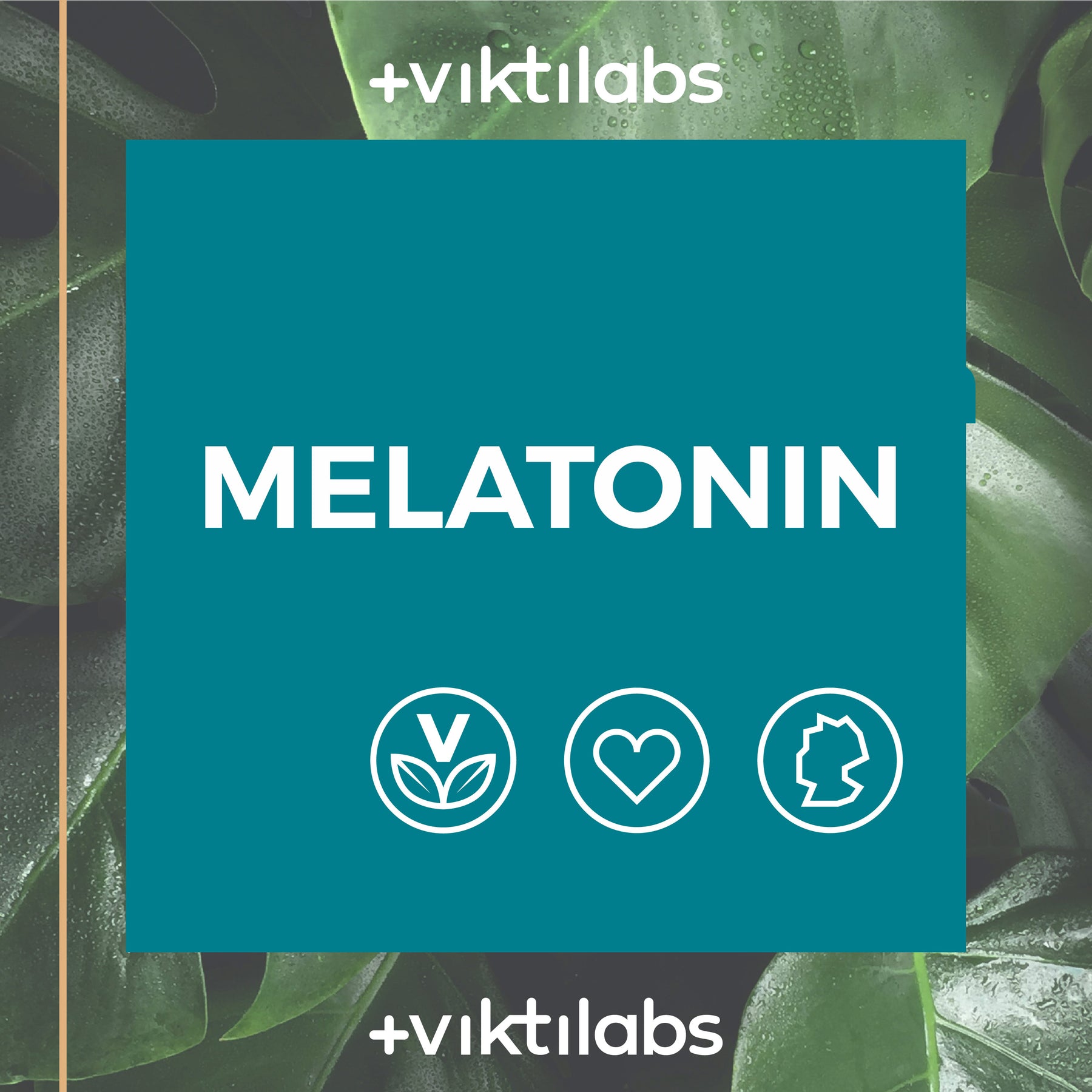 Melatonin Tropfen - 10ml